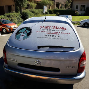 Sticker voiture (vitre arrière)